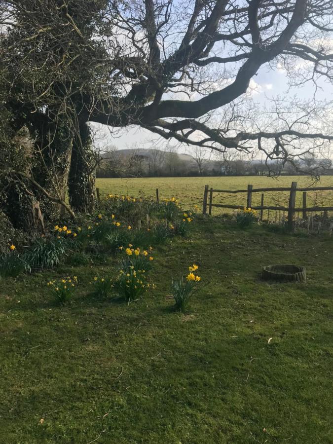 The Old Flower Field Hurstpierpoint Luaran gambar